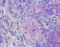 //jororwxhrkjnll5q-static.micyjz.com/cloud/ljBpjKnjlkSRqimpqmmoim/G1047-100ML-60-60.jpg